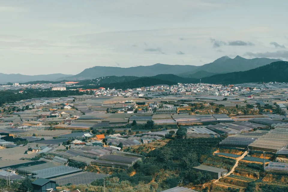 Tại Đoàn Ngọc Định